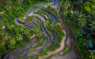 LES EXPÉRIENCES INCONTOURNABLES À UBUD